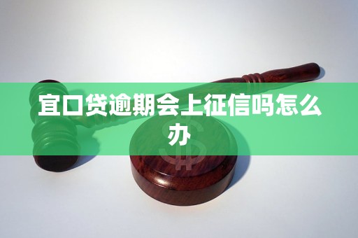 上征信吗怎么办宜口贷逾期会(图1)